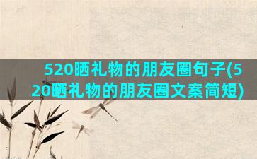 520晒礼物的朋友圈句子(520晒礼物的朋友圈文案简短)