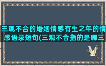 三观不合的婚姻情感有生之年的情感语录短句(三观不合指的是哪三观)