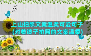 上山拍照文案温柔可爱句子(对着镜子拍照的文案温柔)