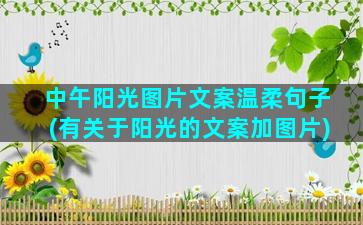 中午阳光图片文案温柔句子(有关于阳光的文案加图片)