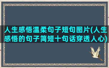 人生感悟温柔句子短句图片(人生感悟的句子简短十句话穿透人心)