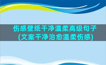 伤感壁纸干净温柔高级句子(文案干净治愈温柔伤感)