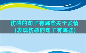 伤感的句子有哪些关于爱情(表现伤感的句子有哪些)