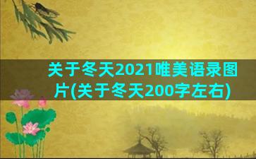 关于冬天2021唯美语录图片(关于冬天200字左右)