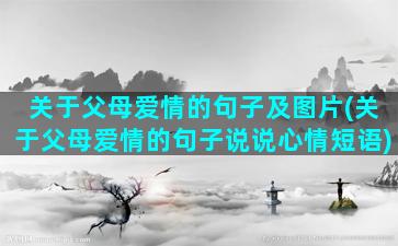 关于父母爱情的句子及图片(关于父母爱情的句子说说心情短语)