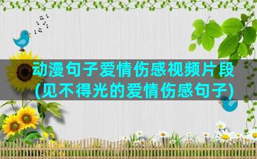 动漫句子爱情伤感视频片段(见不得光的爱情伤感句子)