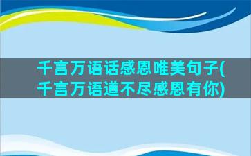 千言万语话感恩唯美句子(千言万语道不尽感恩有你)