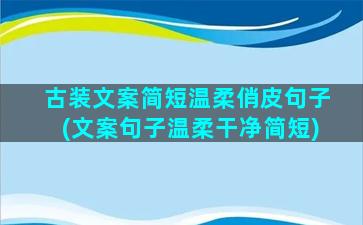 古装文案简短温柔俏皮句子(文案句子温柔干净简短)