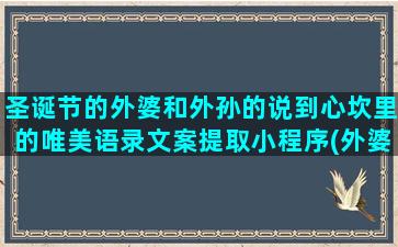 圣诞节的外婆和外孙的说到心坎里的唯美语录文案提取小程序(外婆拯救了圣诞节)