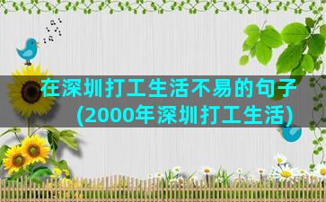 在深圳打工生活不易的句子(2000年深圳打工生活)