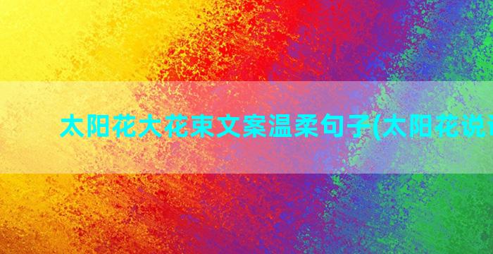 太阳花大花束文案温柔句子(太阳花说说文案)