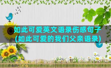 如此可爱英文语录伤感句子(如此可爱的我们父亲语录)