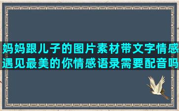 妈妈跟儿子的图片素材带文字情感遇见最美的你情感语录需要配音吗抖音(妈妈祝儿子生日快乐图片)