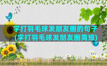 学打羽毛球发朋友圈的句子(学打羽毛球发朋友圈简短)