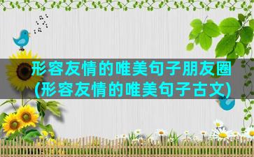 形容友情的唯美句子朋友圈(形容友情的唯美句子古文)