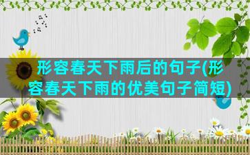 形容春天下雨后的句子(形容春天下雨的优美句子简短)