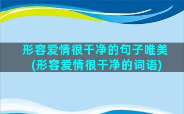 形容爱情很干净的句子唯美(形容爱情很干净的词语)