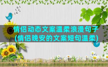 情侣动态文案温柔浪漫句子(情侣晚安的文案短句温柔)