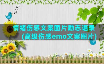 情绪伤感文案图片励志语录(高级伤感emo文案图片)