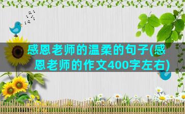 感恩老师的温柔的句子(感恩老师的作文400字左右)