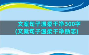 文案句子温柔干净300字(文案句子温柔干净励志)