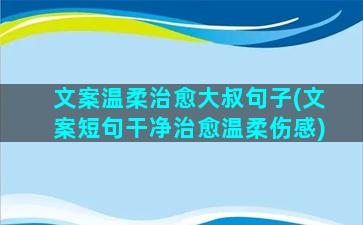 文案温柔治愈大叔句子(文案短句干净治愈温柔伤感)