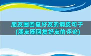 朋友圈回复好友的调皮句子(朋友圈回复好友的评论)