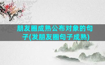 朋友圈成熟公布对象的句子(发朋友圈句子成熟)