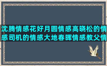 沈腾情感花好月圆情感高晓松的情感司机的情感大地春晖情感教父情感语录短句(花好月圆表达的情感)