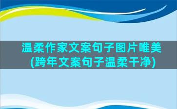 温柔作家文案句子图片唯美(跨年文案句子温柔干净)