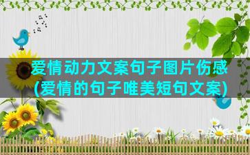 爱情动力文案句子图片伤感(爱情的句子唯美短句文案)