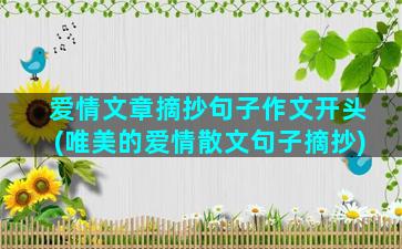 爱情文章摘抄句子作文开头(唯美的爱情散文句子摘抄)