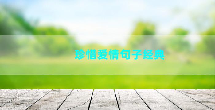 珍惜爱情句子经典