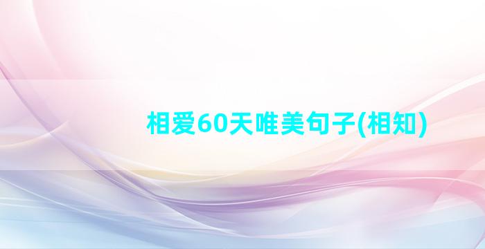 相爱60天唯美句子(相知)