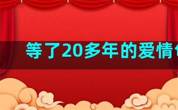 等了20多年的爱情句子