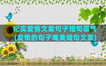 纪实爱情文案句子短句霸气(爱情的句子唯美短句文案)