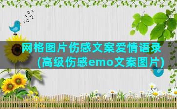 网格图片伤感文案爱情语录(高级伤感emo文案图片)