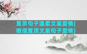 置顶句子温柔文案爱情(微信置顶文案句子爱情)