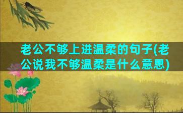 老公不够上进温柔的句子(老公说我不够温柔是什么意思)