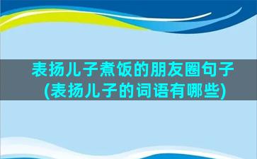 表扬儿子煮饭的朋友圈句子(表扬儿子的词语有哪些)