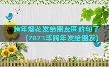 跨年烟花发给朋友圈的句子(2023年跨年发给朋友)