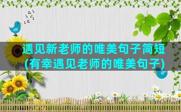 遇见新老师的唯美句子简短(有幸遇见老师的唯美句子)